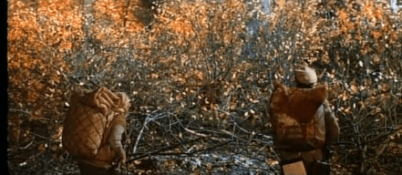 vlcsnap-2015-03-16-20h19m16s138